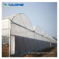 Greenhouse Multi Span Greenhouse Greenhouse Hydroponic